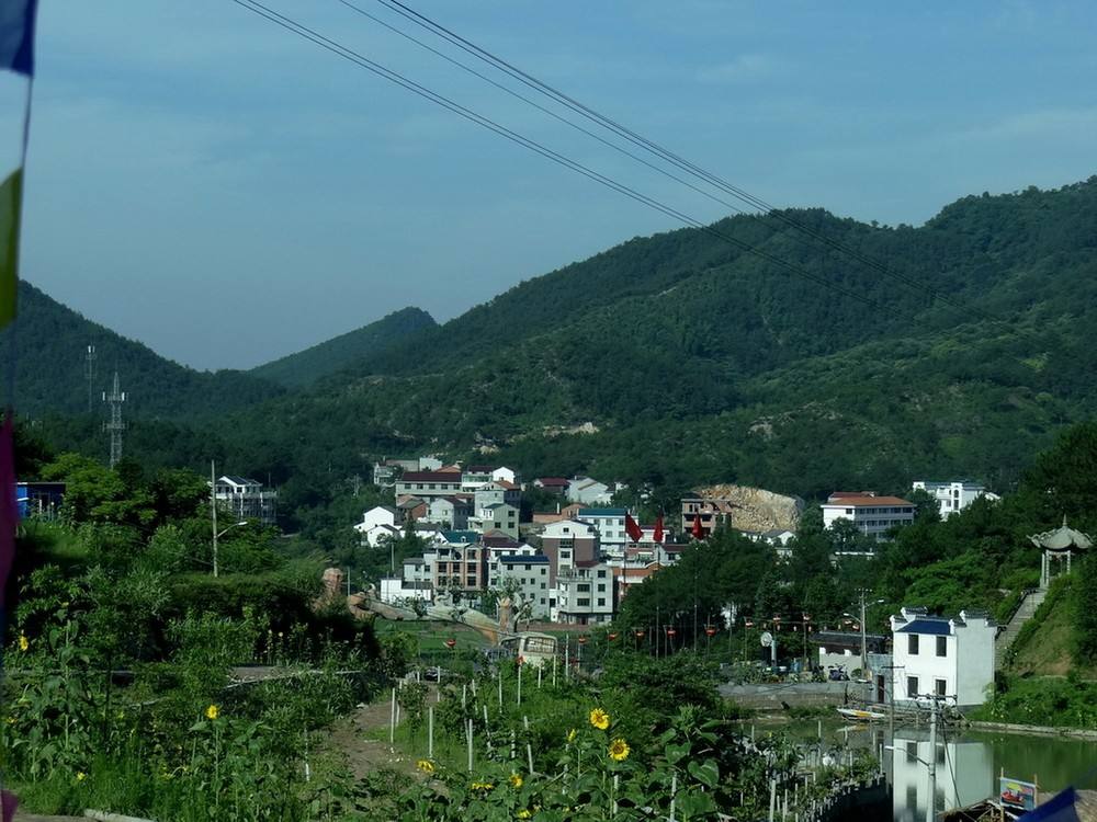 手機(jī)信號(hào)增強(qiáng)器|為什么4G信號(hào)變得越來越慢了？