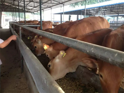 案例I山區(qū)養(yǎng)殖場信號差，把流暢信號從山頂“借”回來！