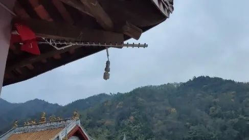 1675066707563240.jpg 640.jpg