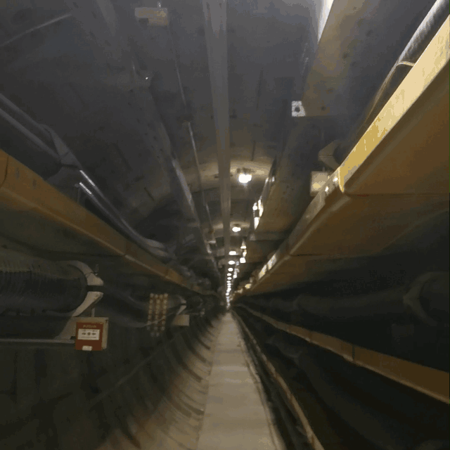 1683769586396455.gif 2.gif