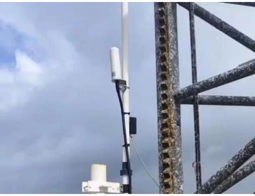 1691397967220636.jpg 5.jpg