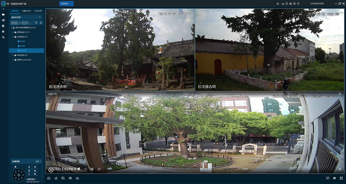 千歲古樹配“護衛”,5G科技進步全天監控