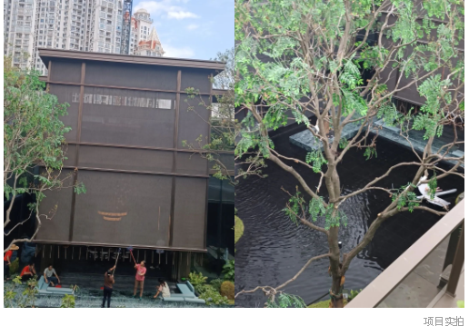 1693807701614831.png 3.png